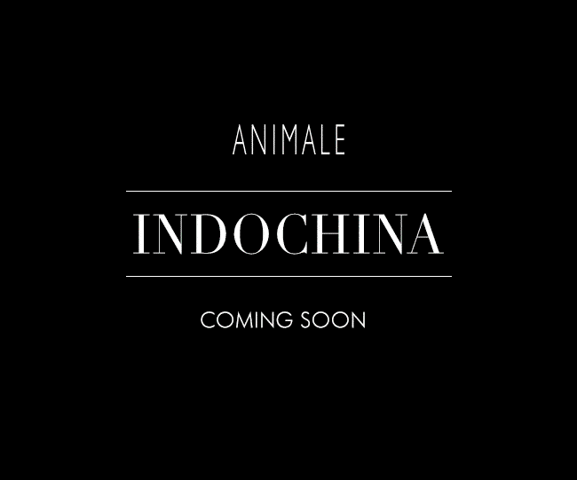 29_email_teaser_indochina_3